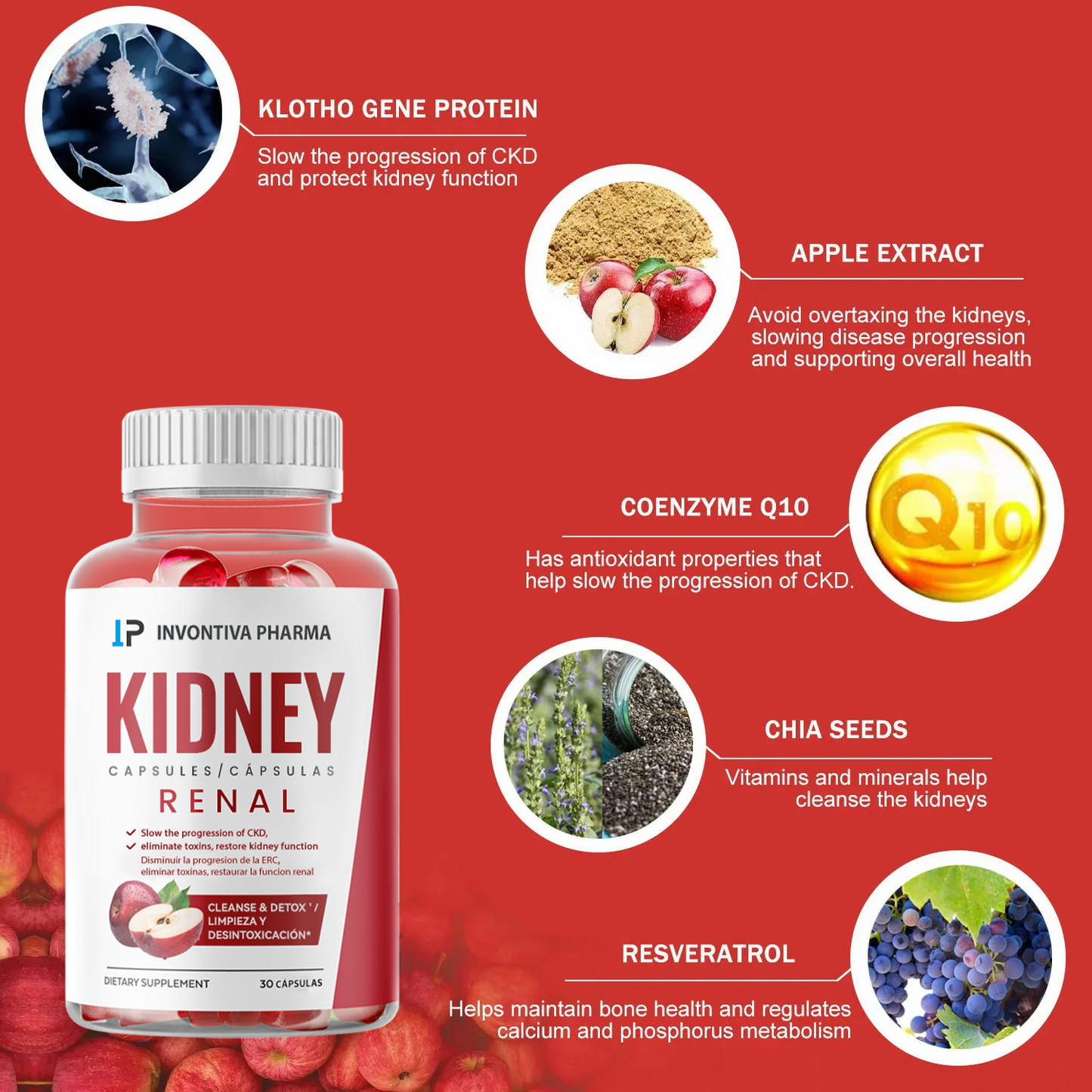 Invontiva PRO Kidney Support Promote blood flow and circulation